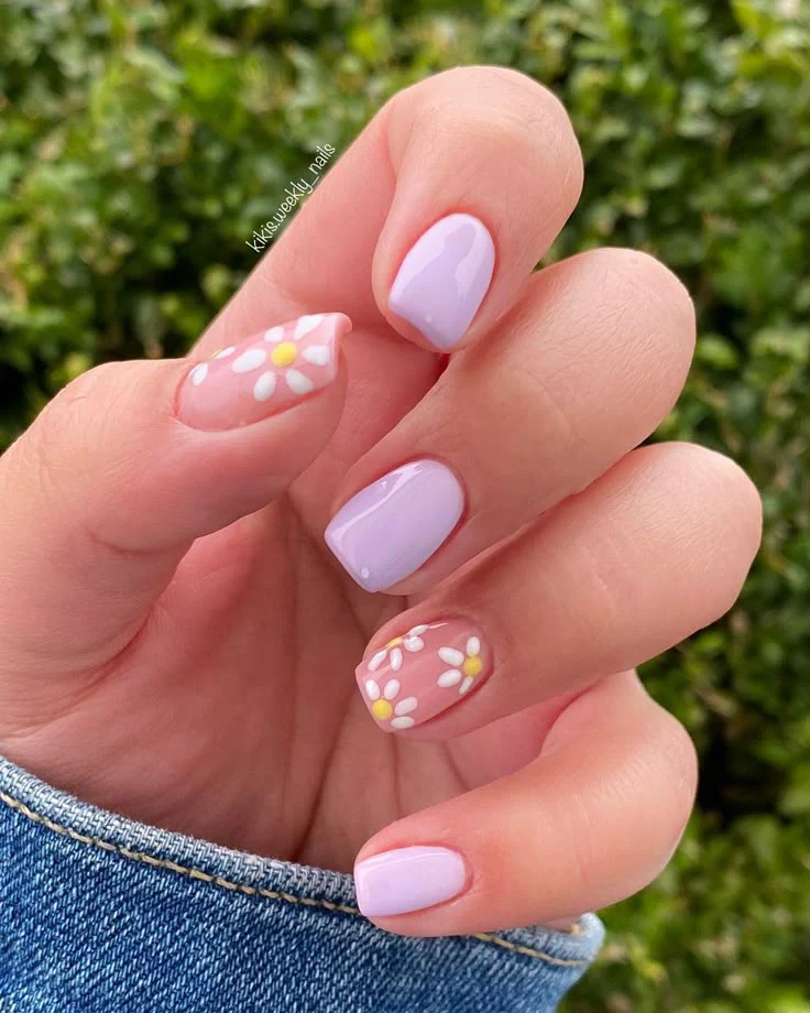 Lavender Daisy